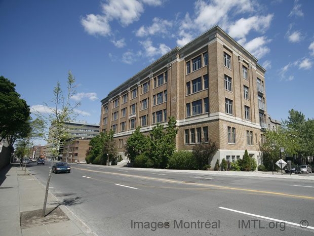 Thomas Darcy McGee School