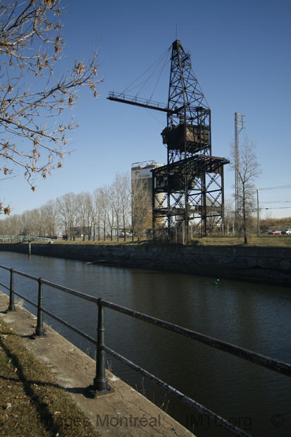Grue du canal