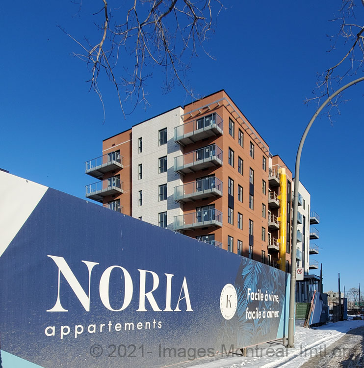 /Noria Apartments