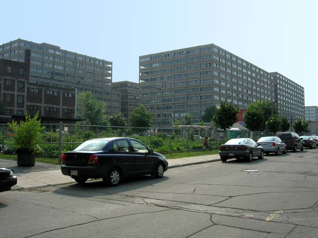 Mile-End's Giants