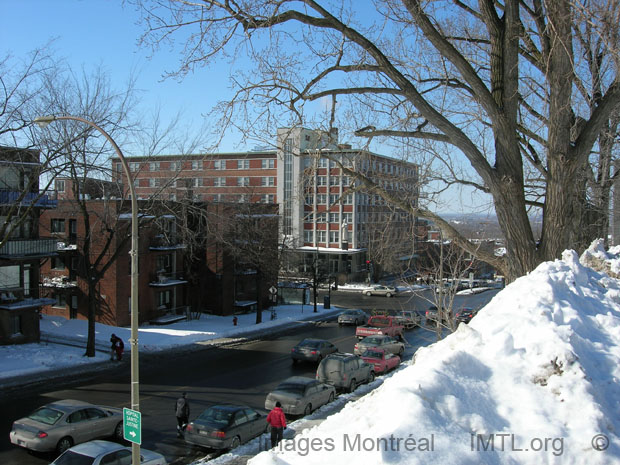 Vers le bas C�te-des-Neiges