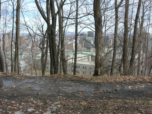 Vue � partir du chemin Olmsted