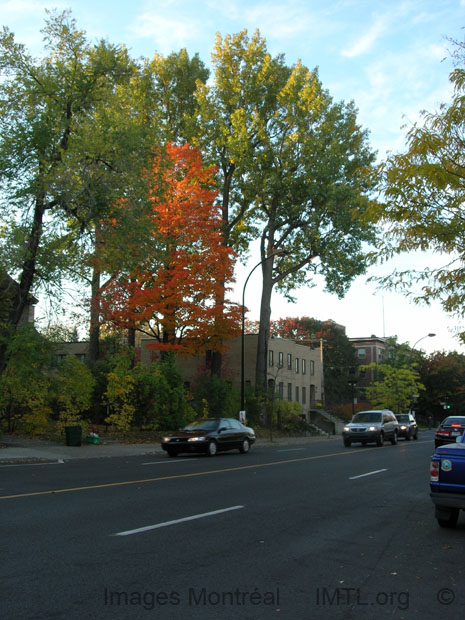 Chemin de la C�te-Sainte-Catherine Outremont