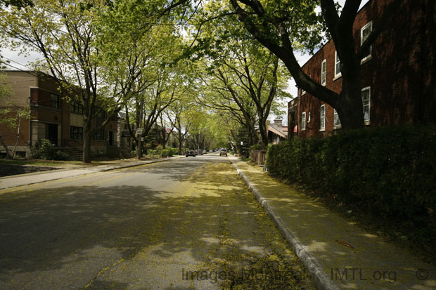 avenue Hingston