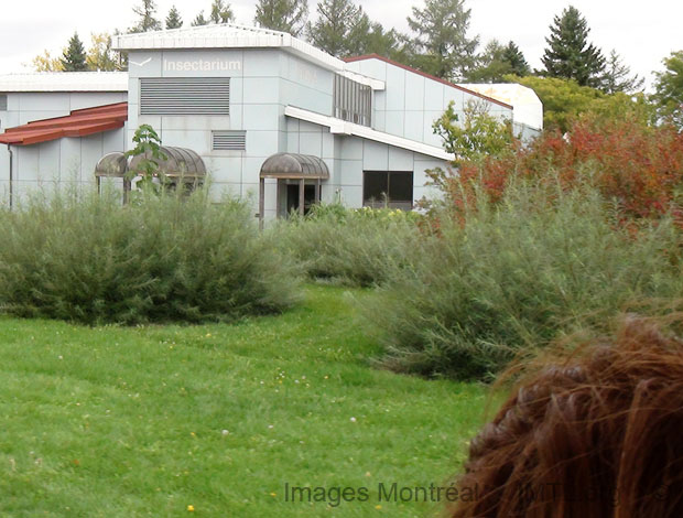 Insectarium de Montr�al