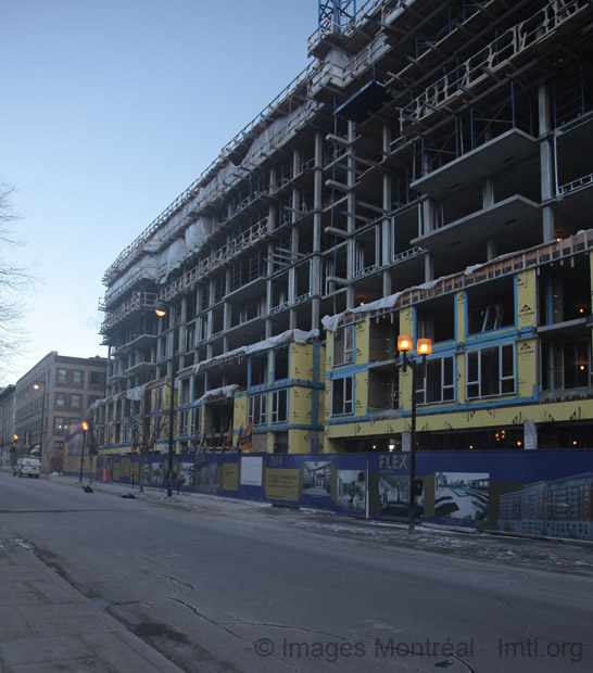 Condos Flex 