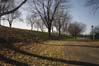�tienne-Desmarteau Parc