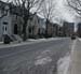 Avenue Elm