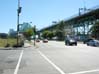 Jacques Cartier Bridge