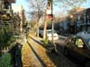Alma Street a morning  fall
