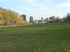 Downtown view