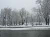 Lafontaine Partk in winter