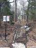 Olmstead Pathway Mont-Royal