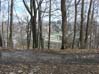 View from Olmsted Pathway Mont-Royal