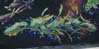Graffiti sur Saint-Laurent