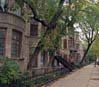 Jeanne-Mance street