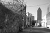 Shannon Street