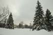 Parc Thomas S. Darling