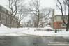 Cornwall Avenue