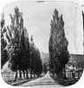 Historical Mile-End