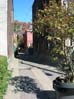 Groll street