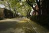 Hingston Street