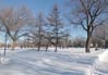 Parc Fran�ois-Perrault