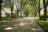 Avenue des Pleines