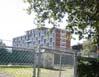McConnell & Molson Halls