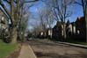 avenue Saint-germain Outremont.