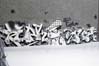 Graffiti on Notre-Dame Street