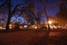 Little Italy park at Night