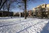 Saint-Henri Park