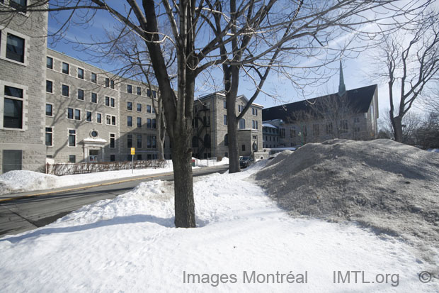 /Collège Vanier