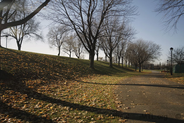 /Étienne-Desmarteau Parc