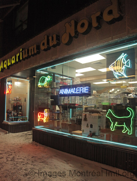 Aquarium du Nord