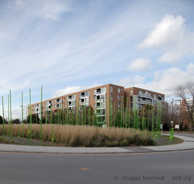 /Île-des-Soeurs Roundabout