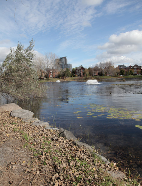 /Lacoursière Park