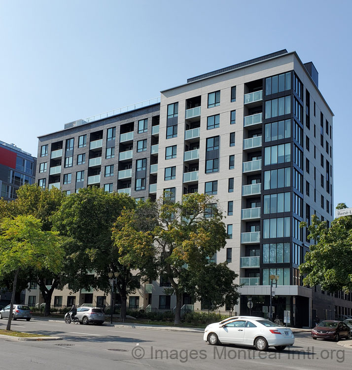 /Montcalm Condos