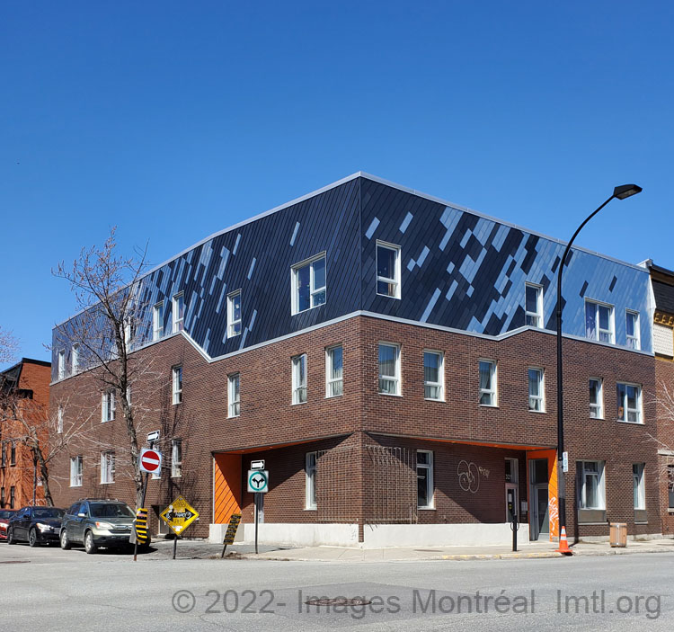 /3321 Sainte-Catherine Est - L'avenue Habitation