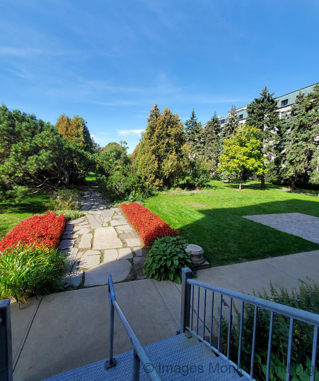 /The monastery garden - Cité des Hospitalières