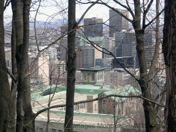 /View from Olmsted Pathway Mont-Royal