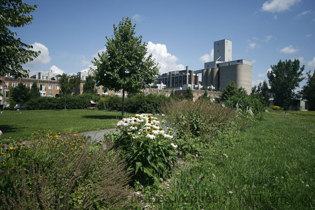 /Park on Saint-Cunégonde