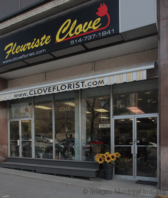 Fleuriste Clove