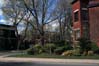 BloomField