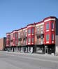 Rex Triplex