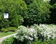 Parc Thérèse Casgrain