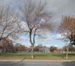 Rue Molson - Parc du Pélican