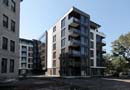 Castelnau Phase III