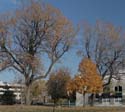 Square Papineau